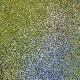 неля, 35 (55 фото)